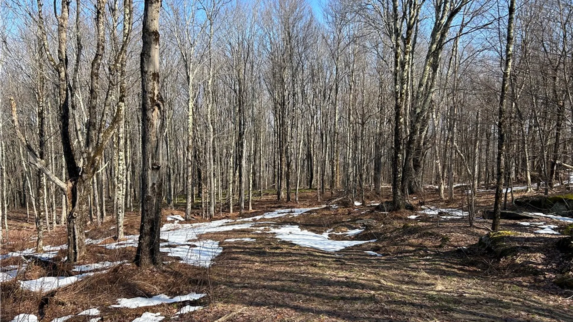 Property at Huska Road, Delhi, NY 13753 6