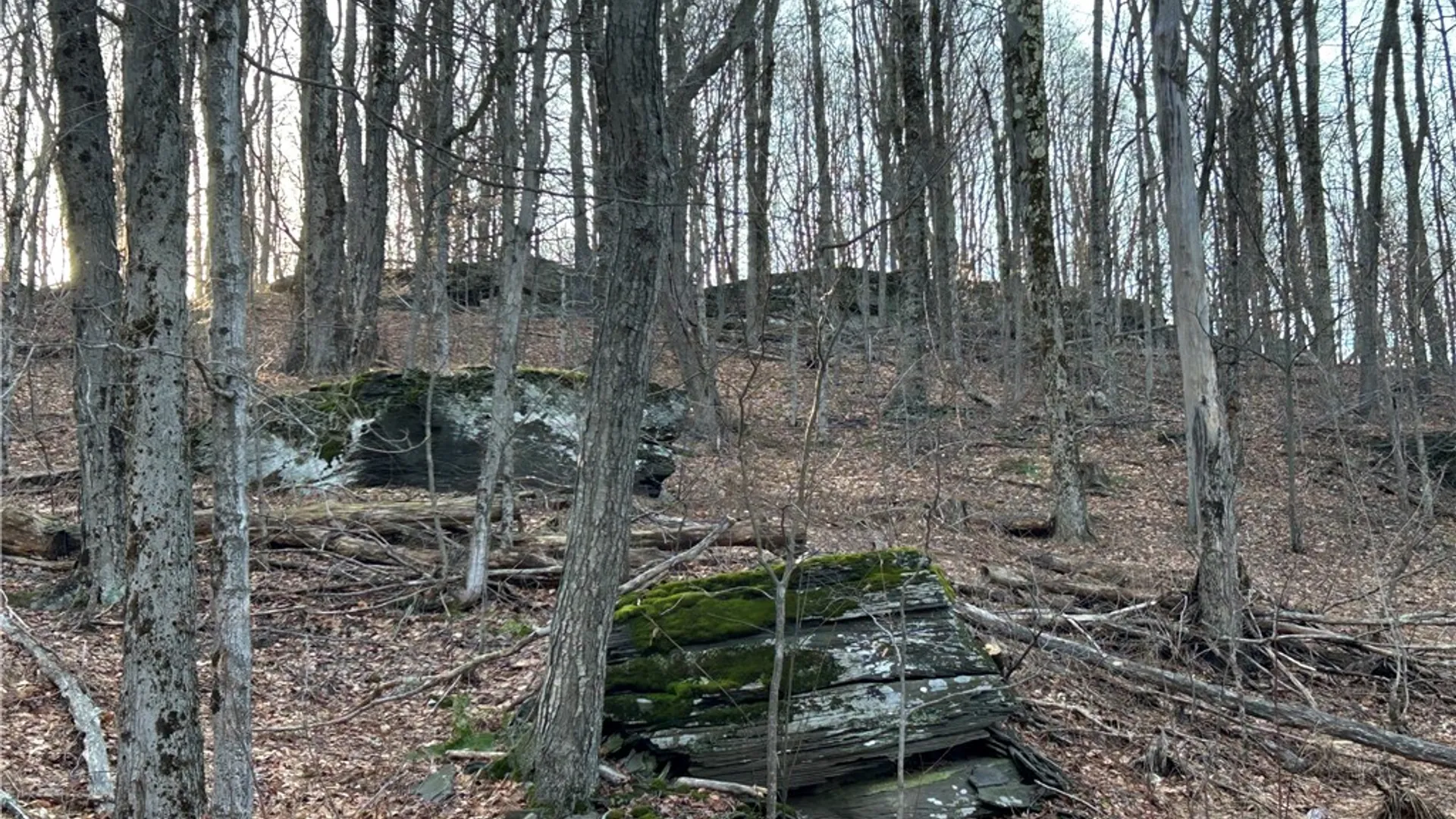 Property at Huska Road, Delhi, NY 13753 7