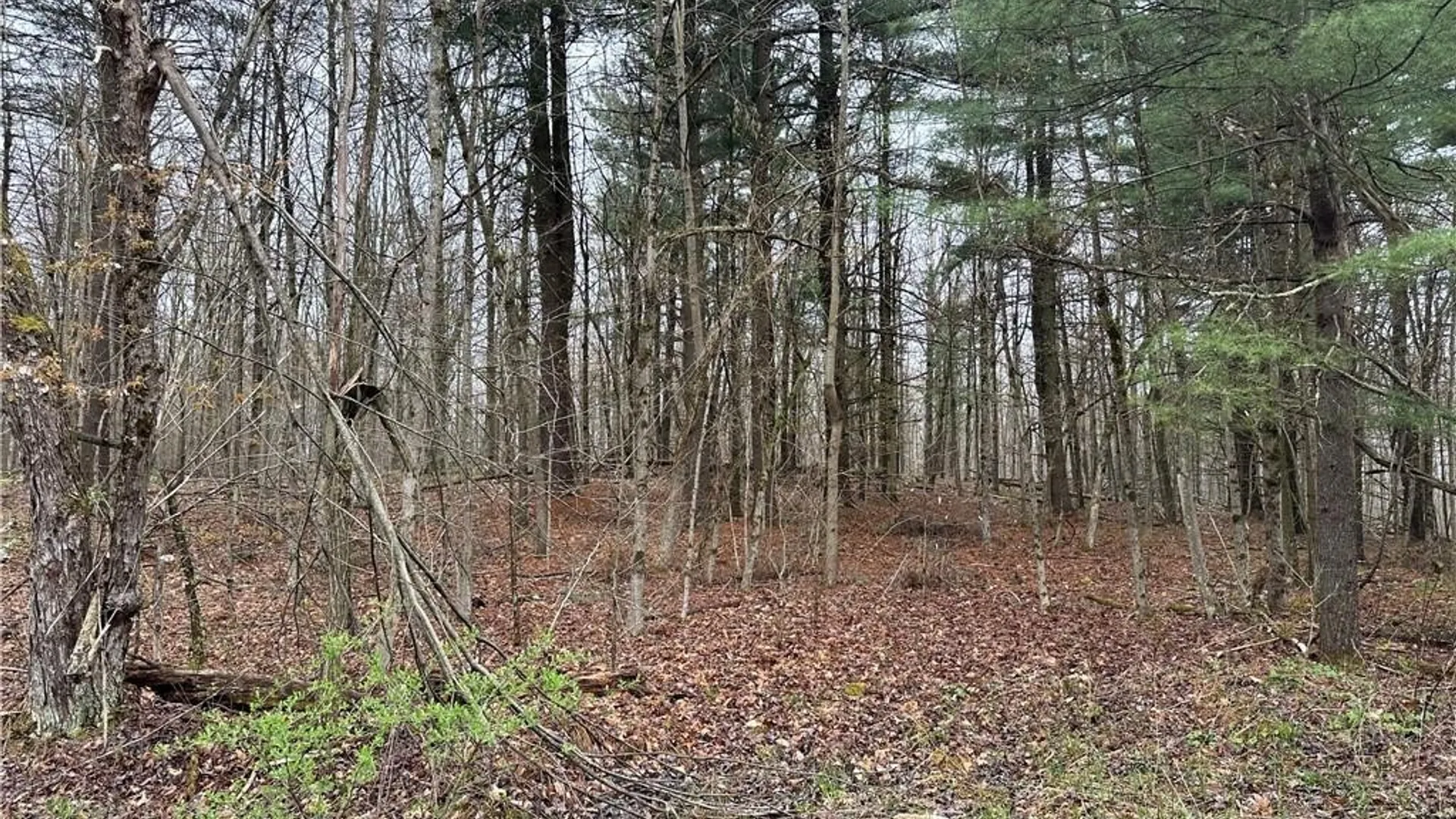 Property at Donnerville Road, Russell, NY 13684 2
