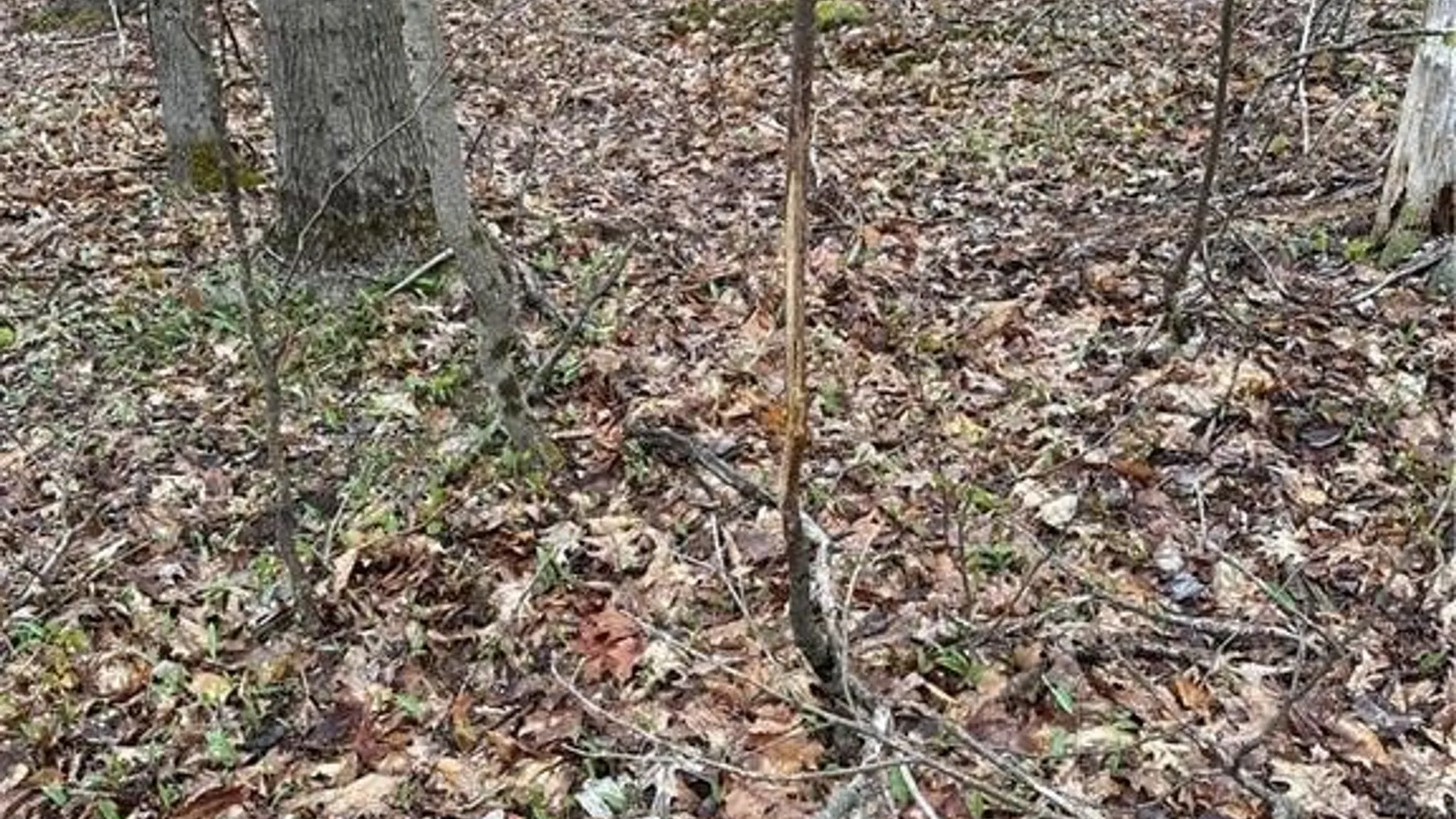 Property at Donnerville Road, Russell, NY 13684 3