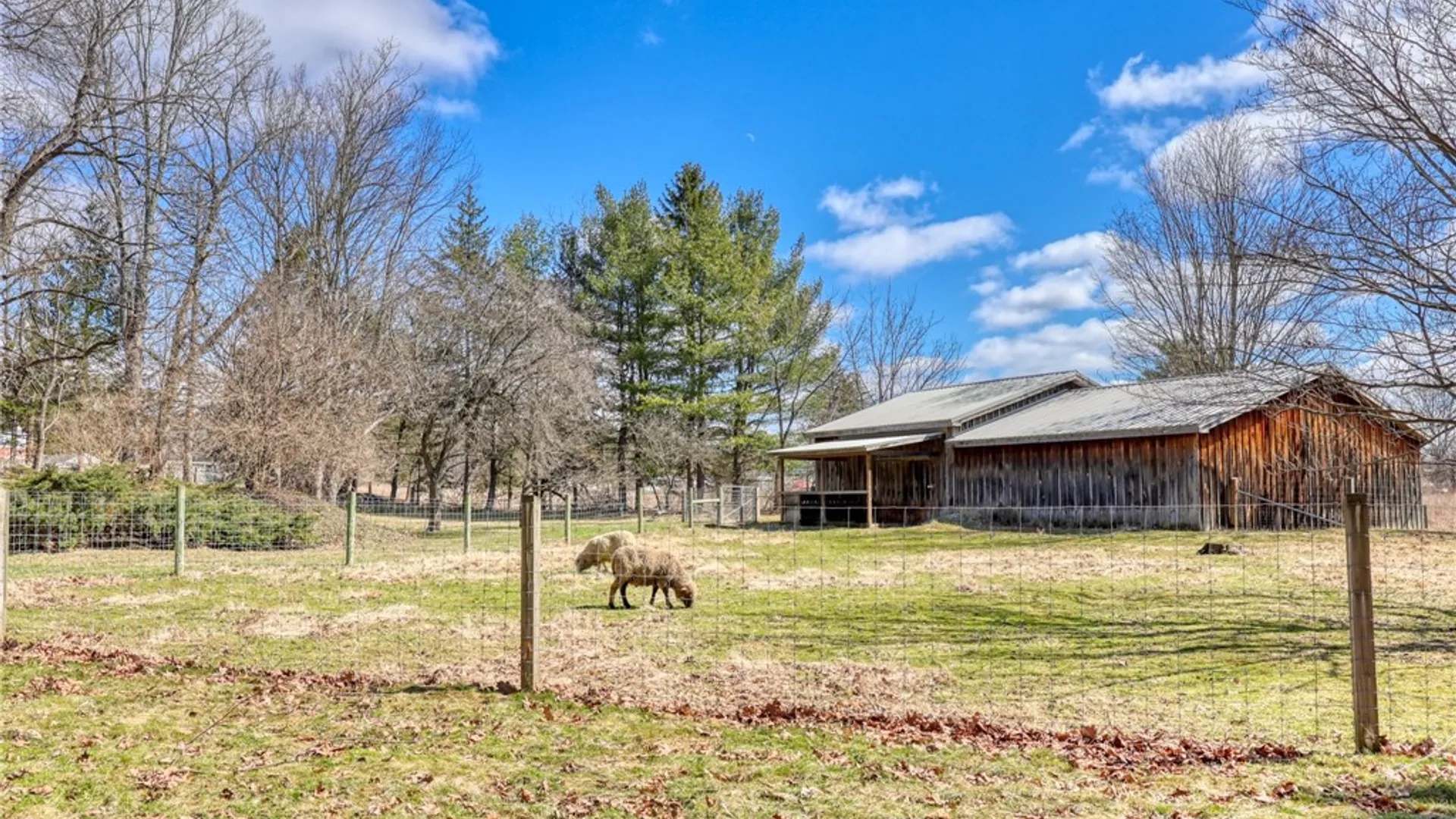 Property at 2409 Slaterville Road, Caroline, NY 14881 42