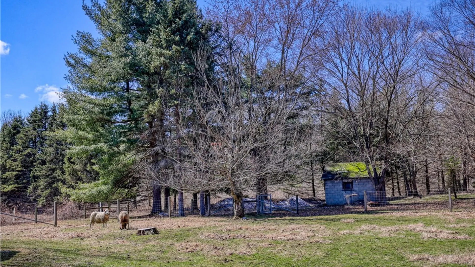 Property at 2409 Slaterville Road, Caroline, NY 14881 47