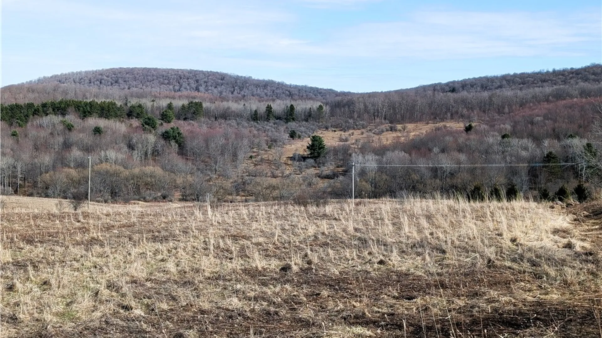 Property at 1525 Beaver Hill Road, Alma, NY 14895 2