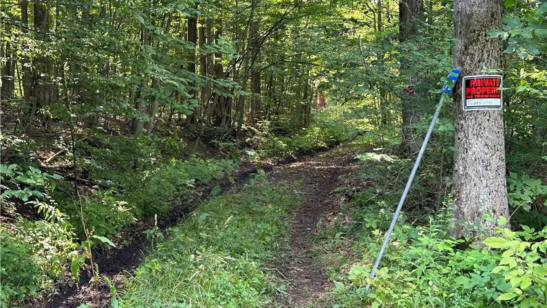 Property at 9272 Morrison Road, Rushford, NY 14060 11