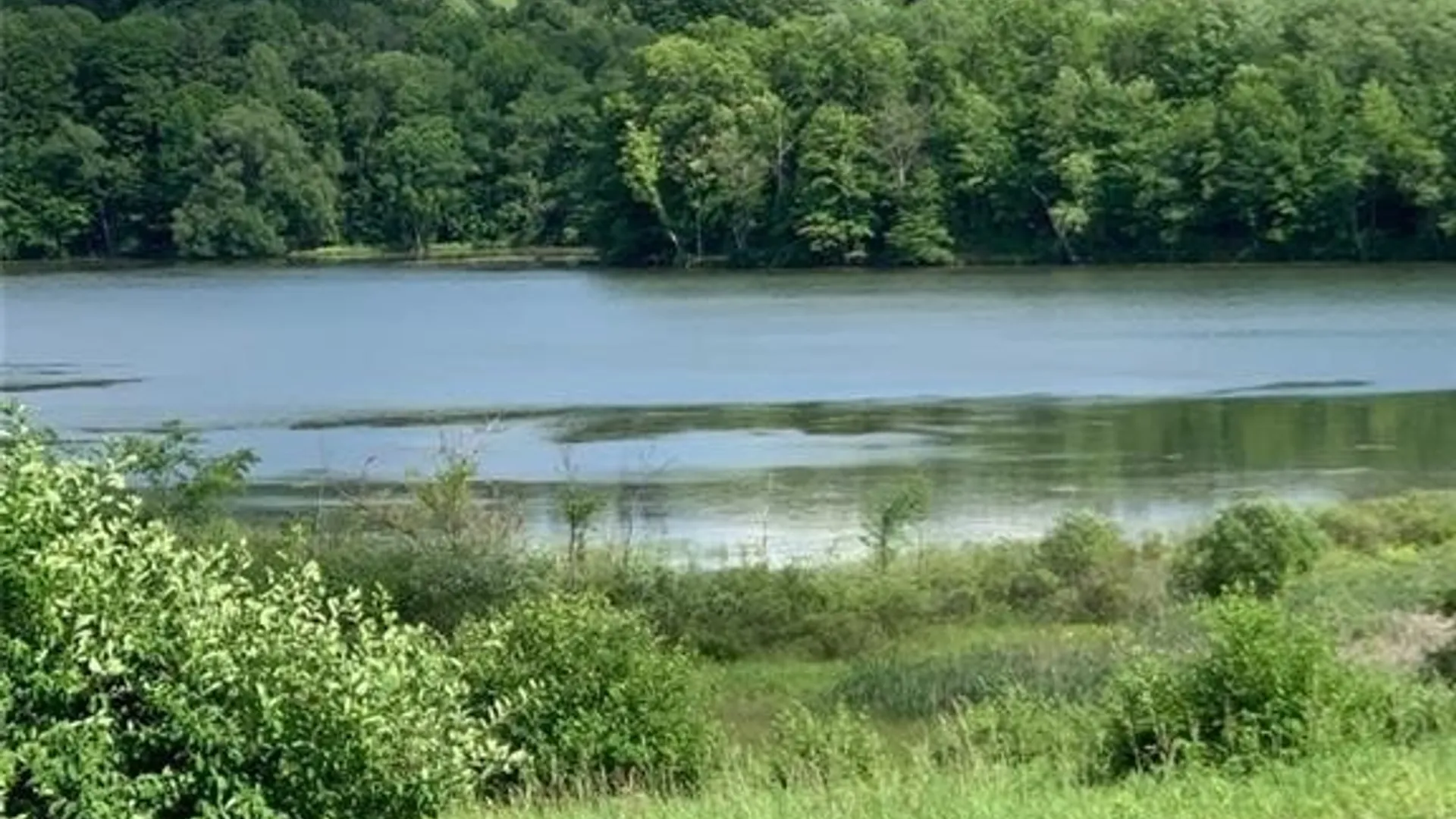 Property at 0 Lake Road, Madison, NY 13346 7