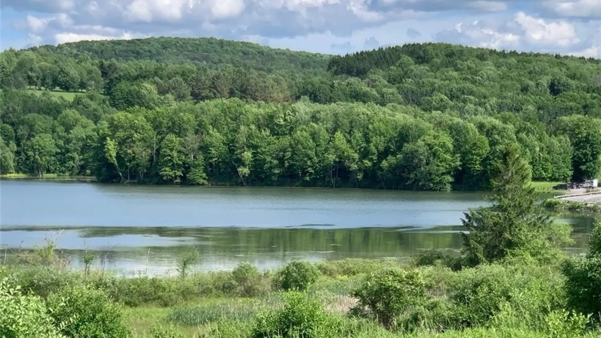 Property at 0 Lake Road, Madison, NY 13346 8