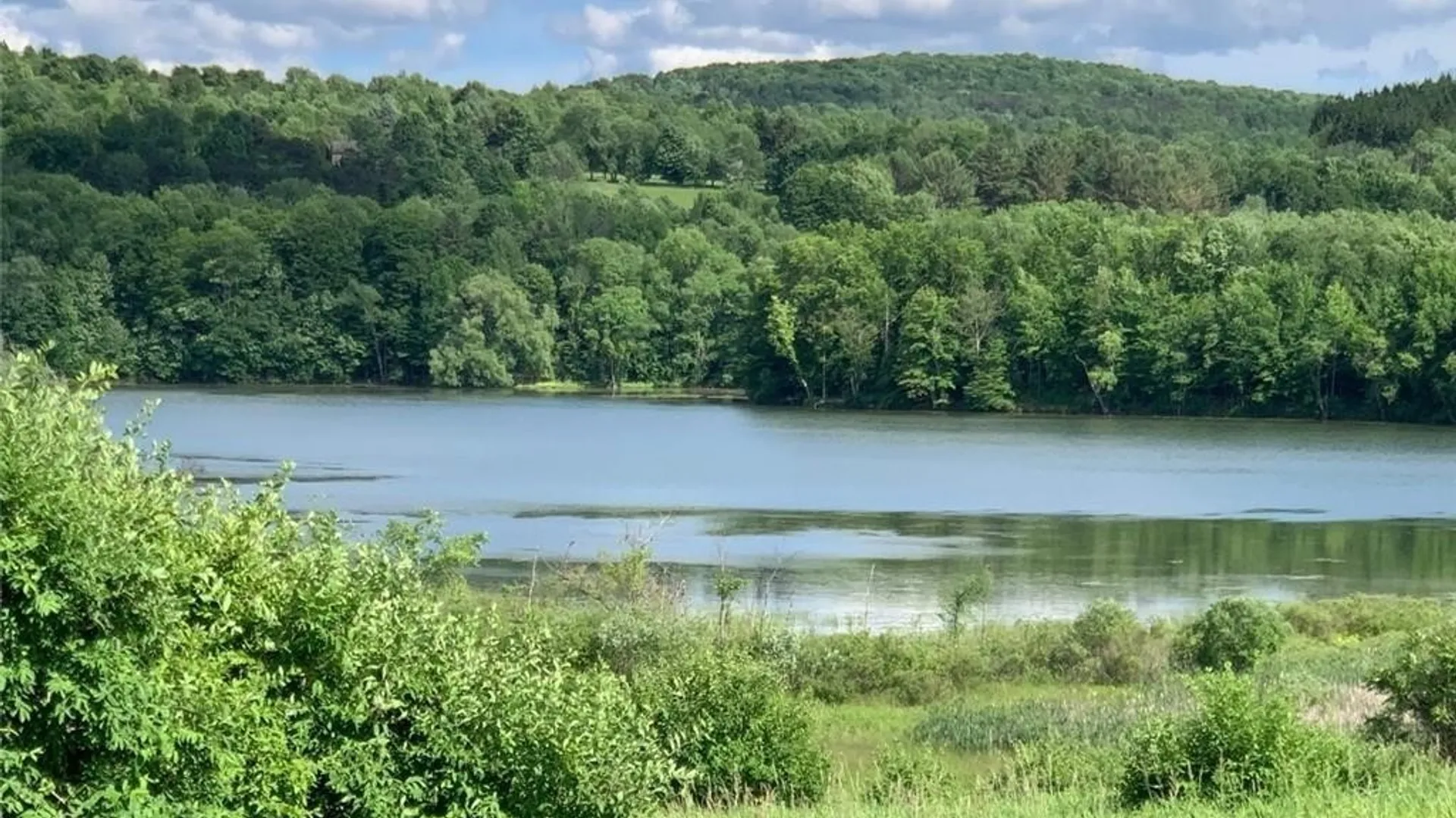 Property at 0 Lake Road, Madison, NY 13346 9