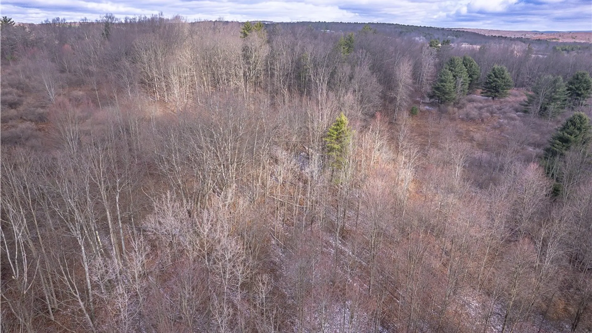 Property at Sam Brown Road, Barton, NY 14859 10