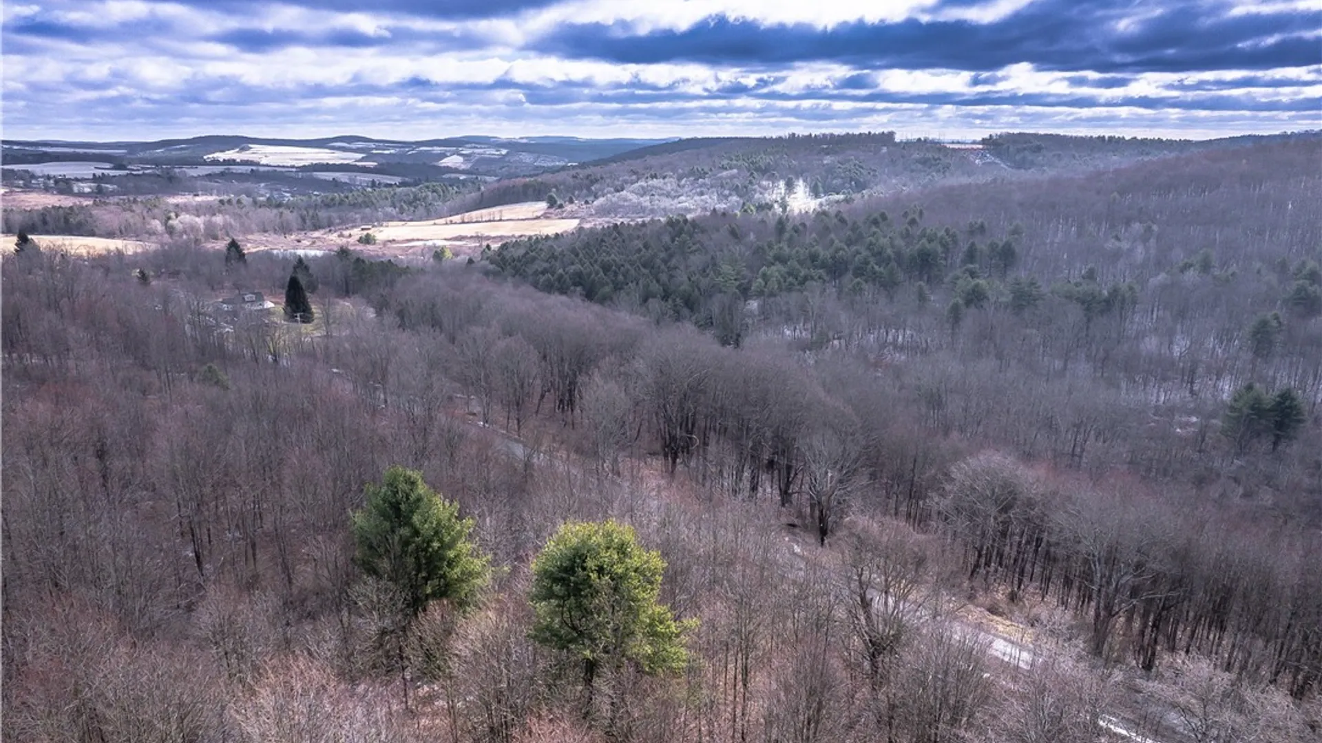 Property at Sam Brown Road, Barton, NY 14859 11