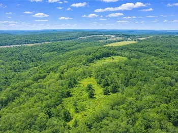 Property at Sam Brown Road, Barton, NY 14859