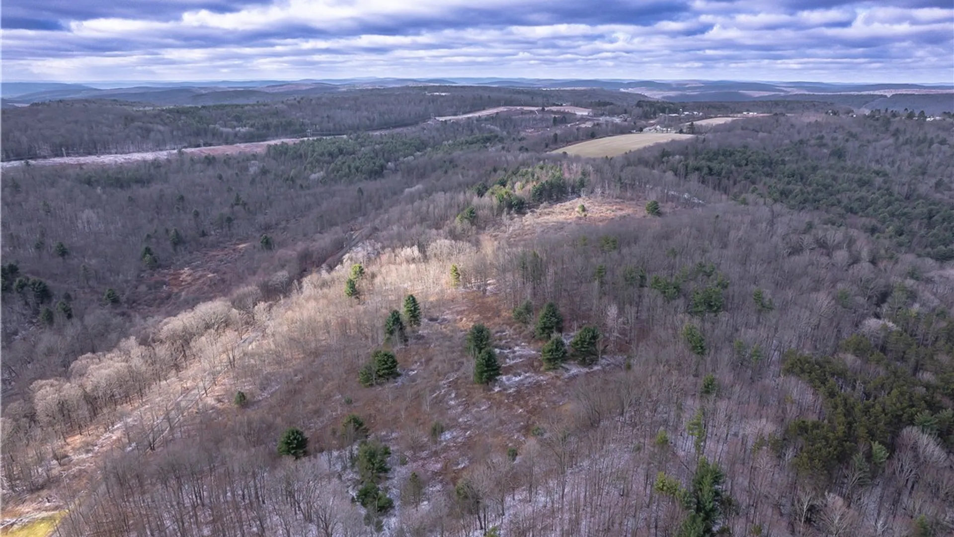 Property at Sam Brown Road, Barton, NY 14859 6