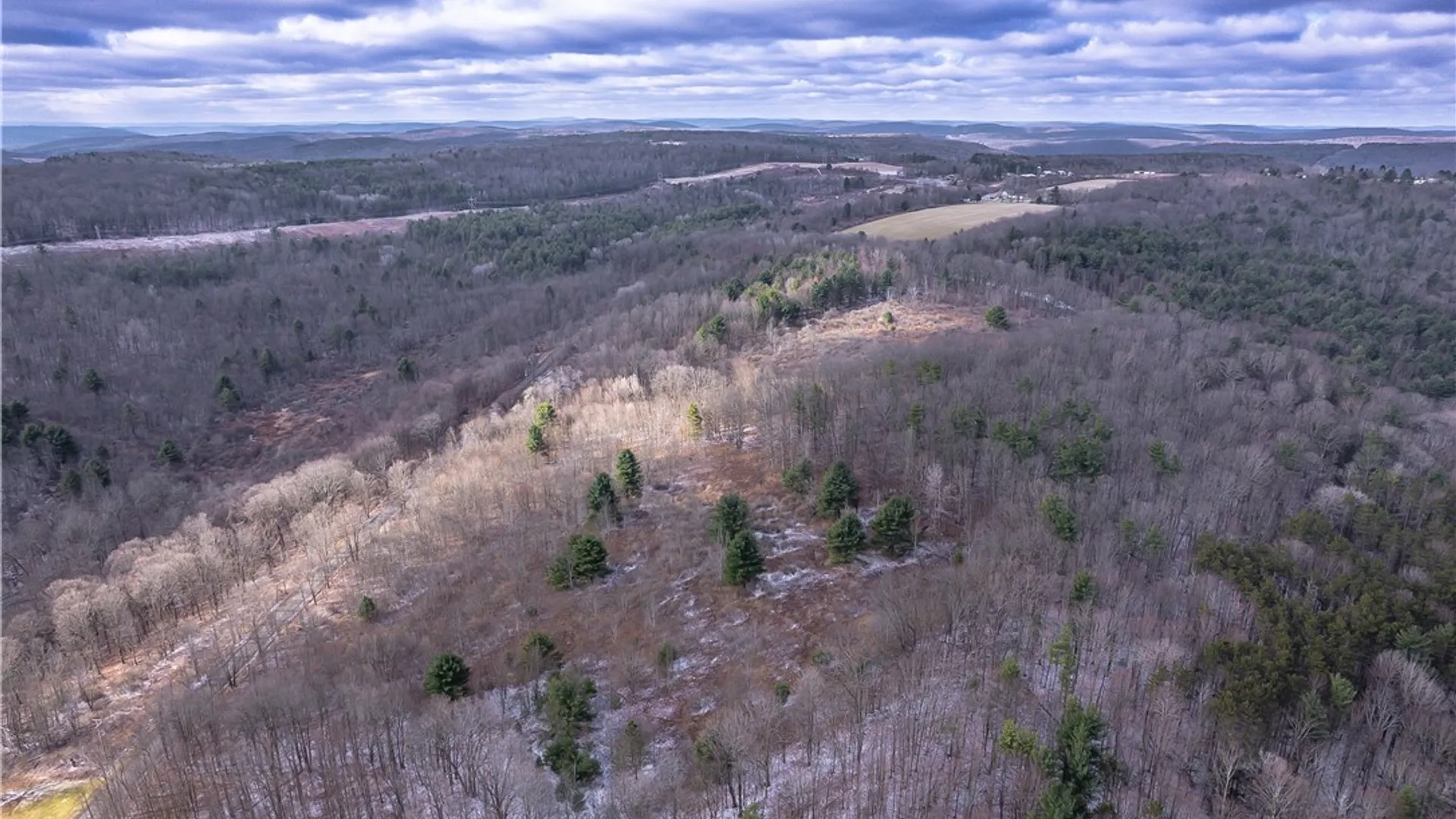 Property at Sam Brown Road, Barton, NY 14859 7