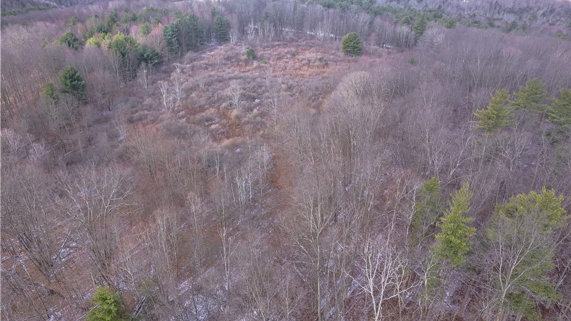 Property at Sam Brown Road, Barton, NY 14859 8