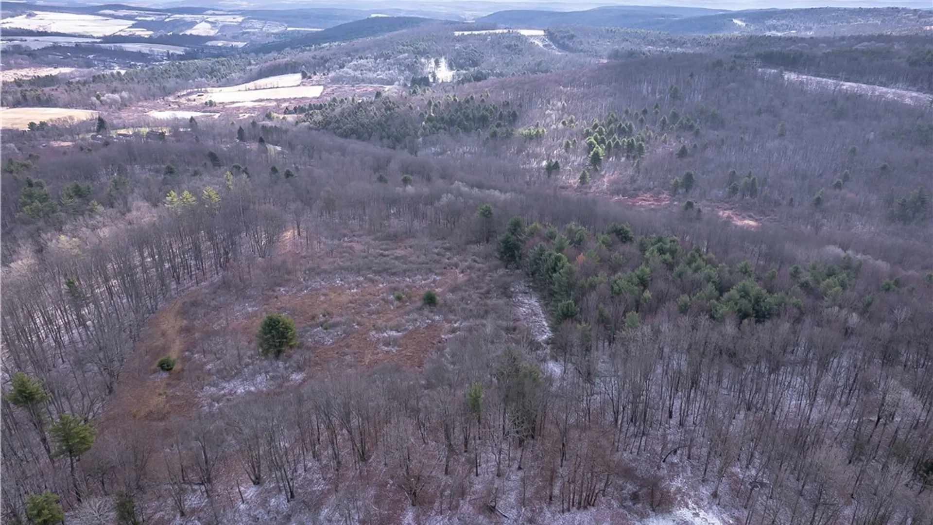 Property at Sam Brown Road, Barton, NY 14859 9