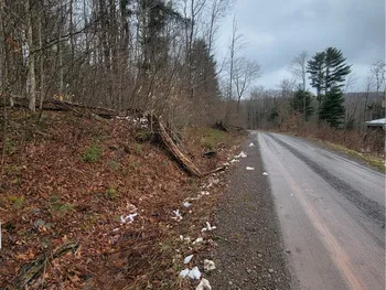 Property at 0 Schlafer Road, Guilford, NY 13780