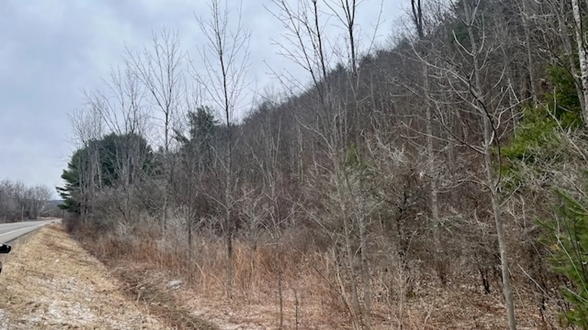 Property at 0 State Route 34, Van Etten, NY 14889 11