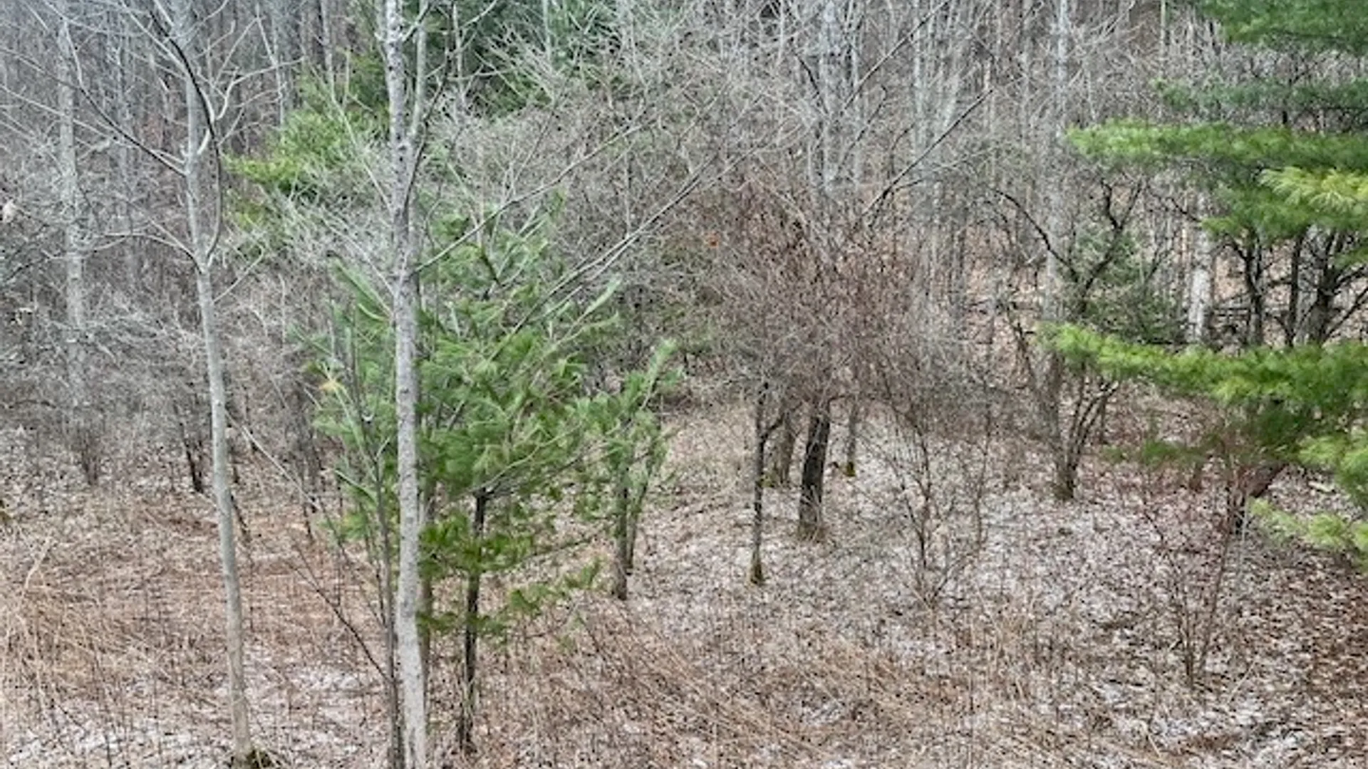 Property at 0 State Route 34, Van Etten, NY 14889 12