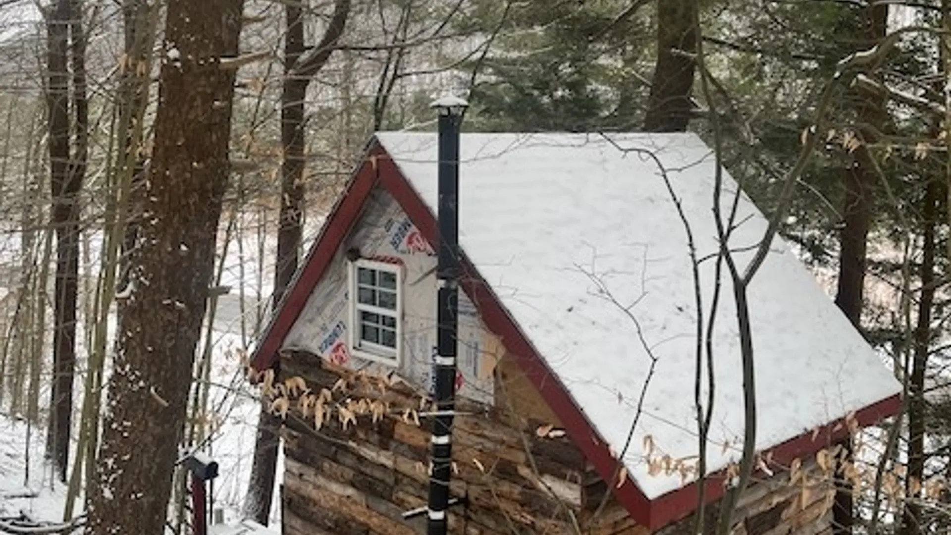 Property at 0 State Route 34, Van Etten, NY 14889 17