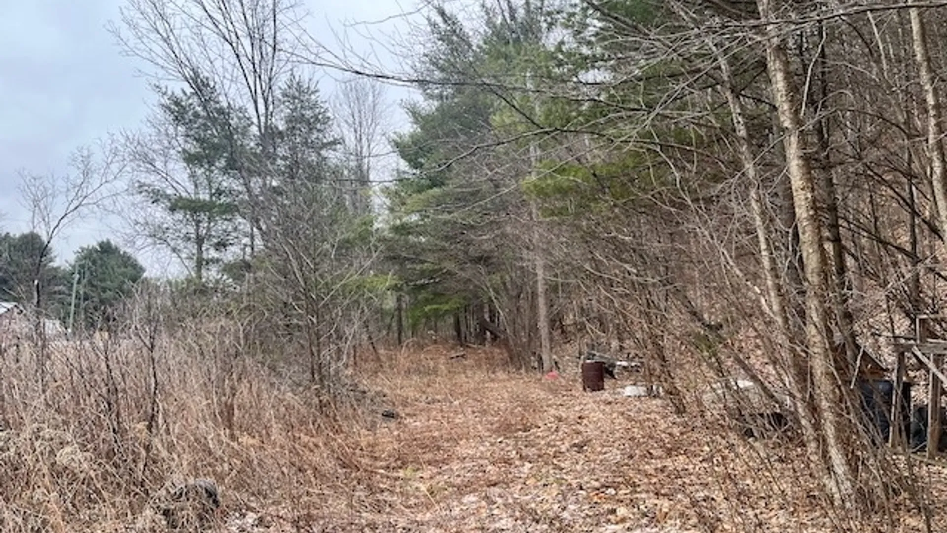 Property at 0 State Route 34, Van Etten, NY 14889 3