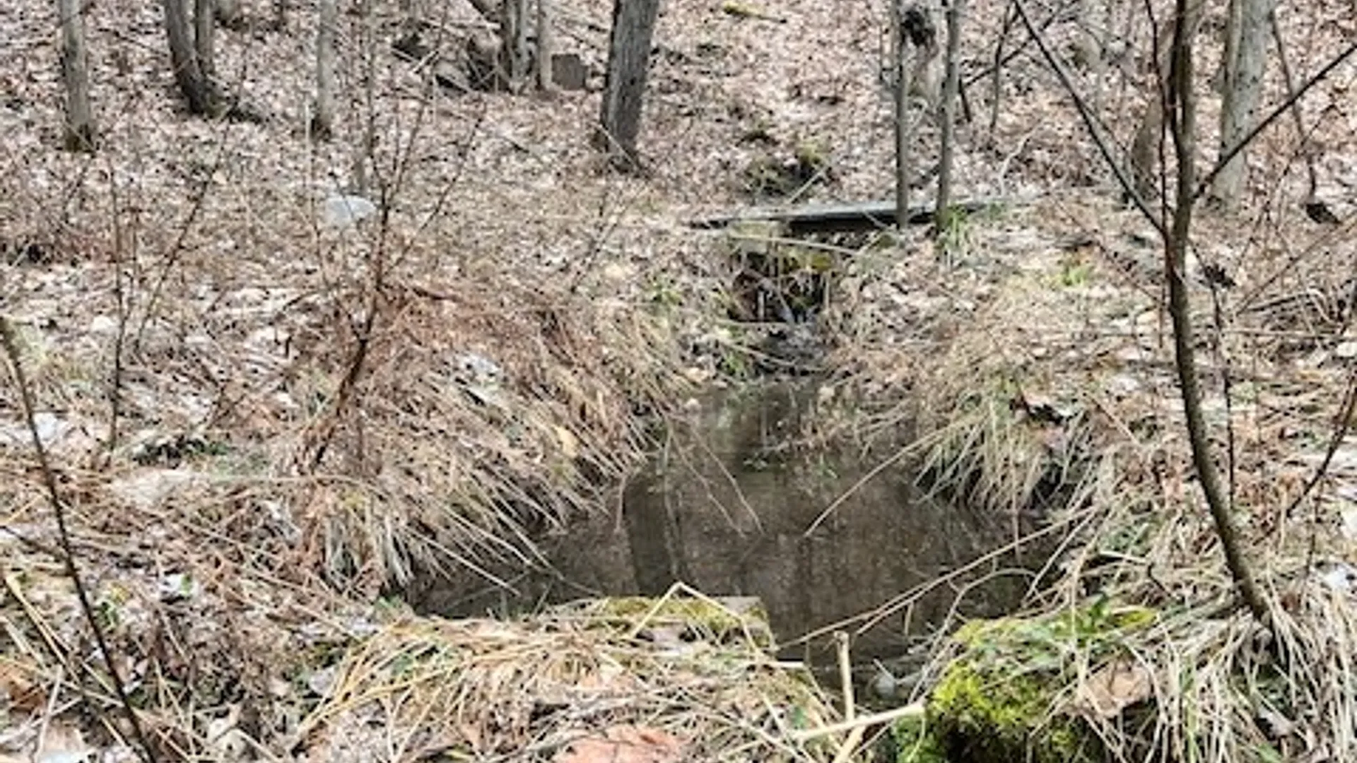 Property at 0 State Route 34, Van Etten, NY 14889 5