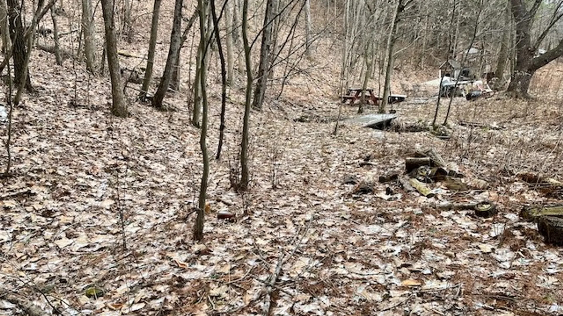 Property at 0 State Route 34, Van Etten, NY 14889 6