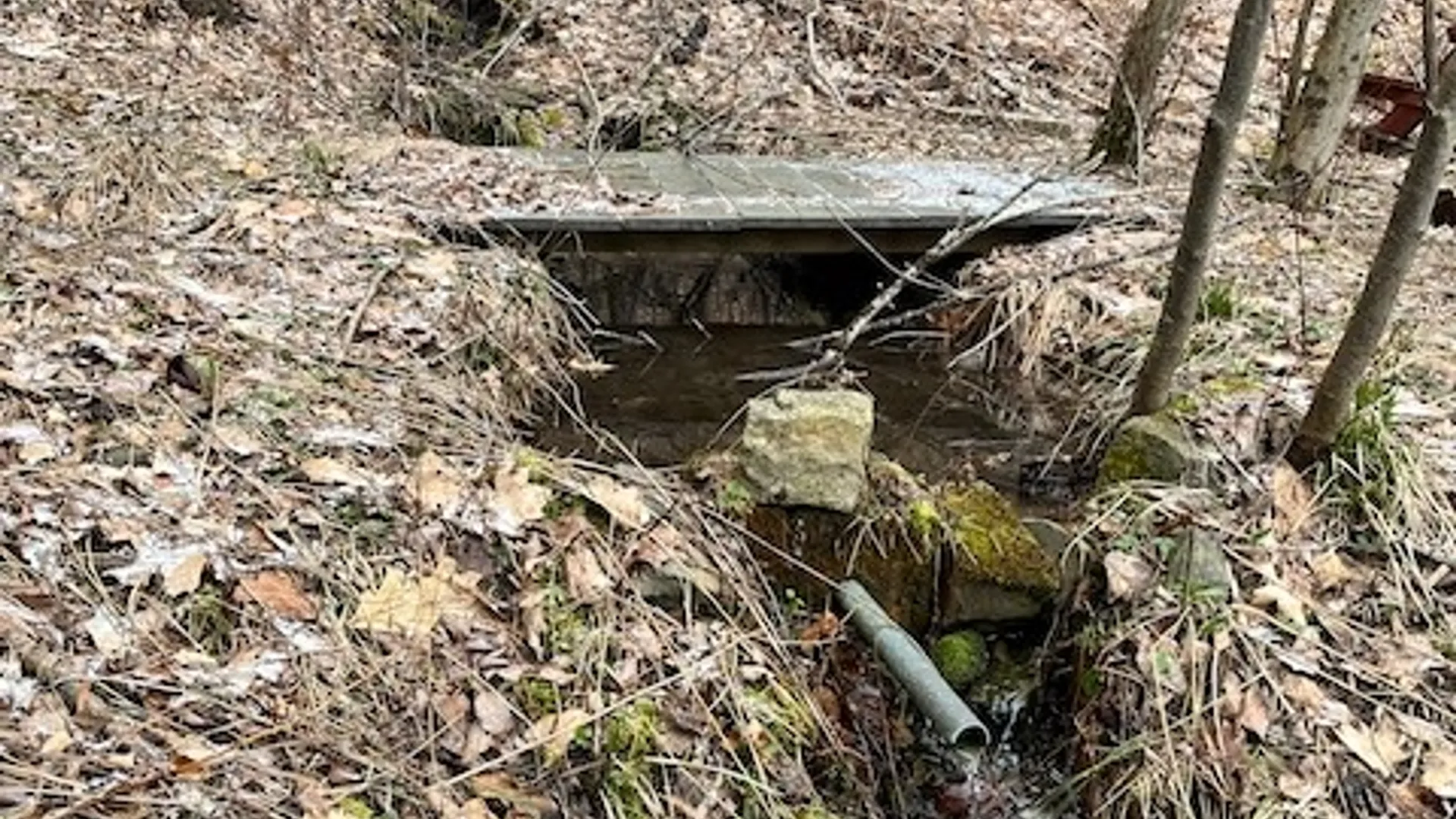 Property at 0 State Route 34, Van Etten, NY 14889 7