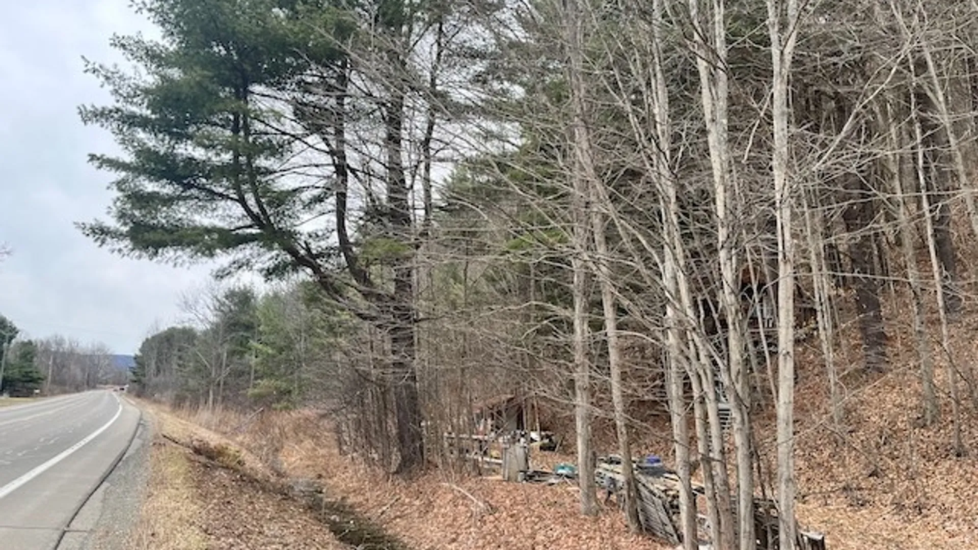 Property at 0 State Route 34, Van Etten, NY 14889 9