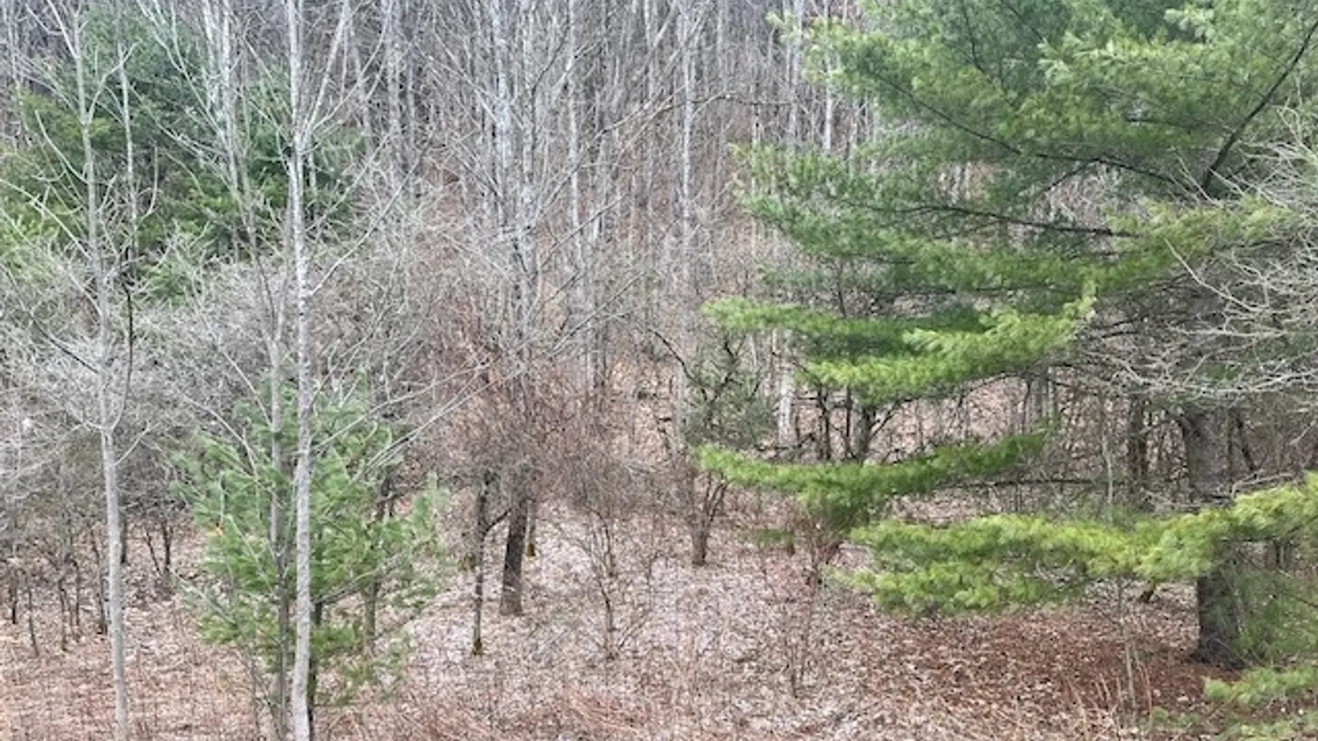 Property at 322 Nys Route 34, Van Etten, NY 14889 2