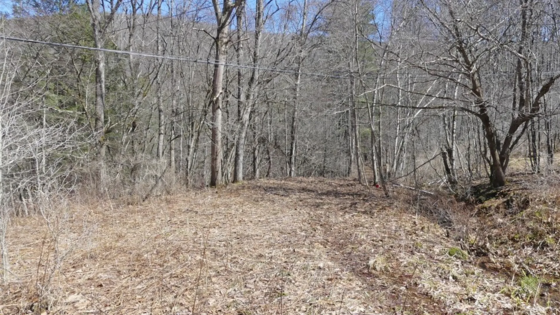 Property at 5565 Beech Hill Road, Andes, NY 13731 10