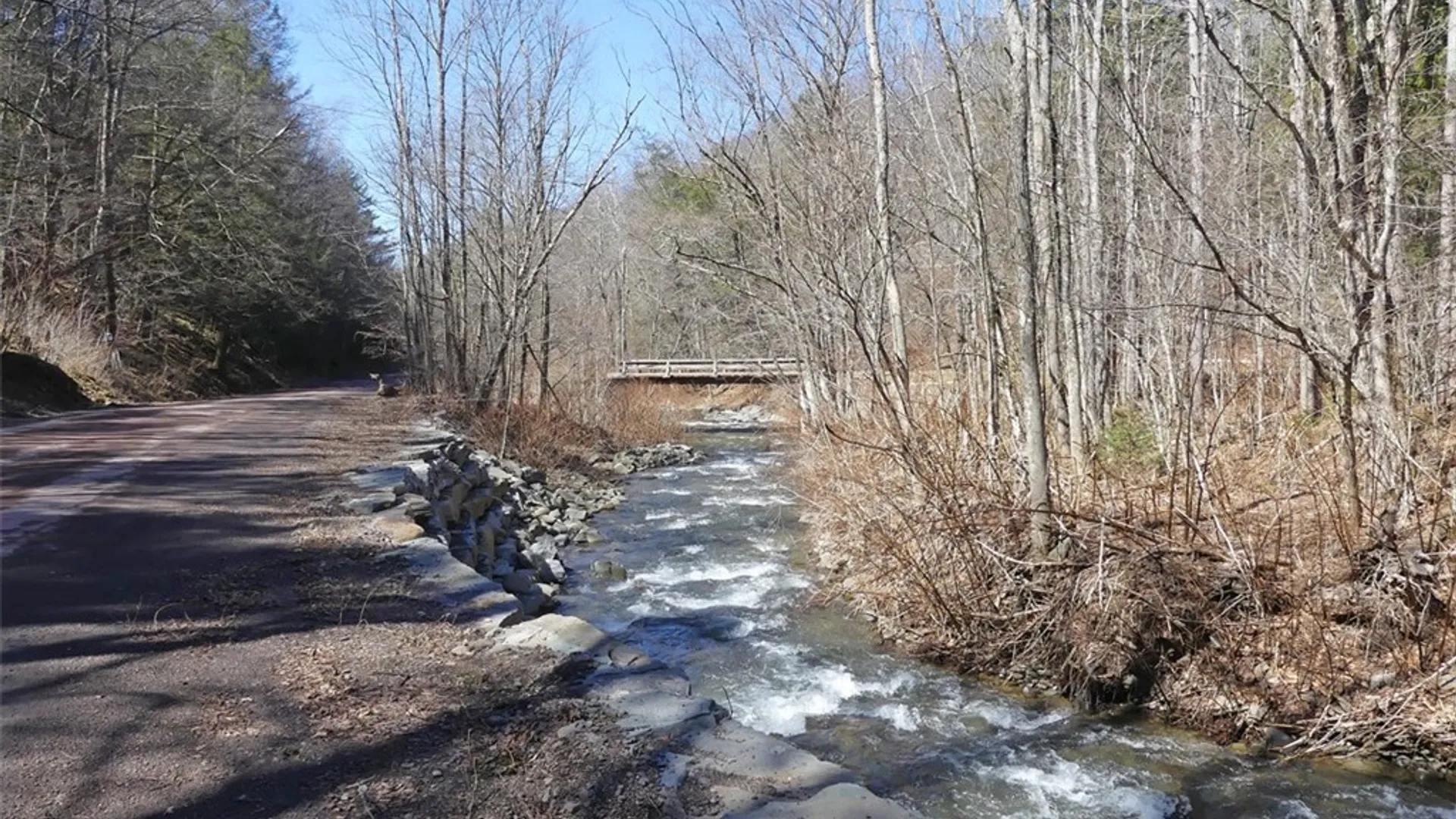 Property at 5565 Beech Hill Road, Andes, NY 13731 12