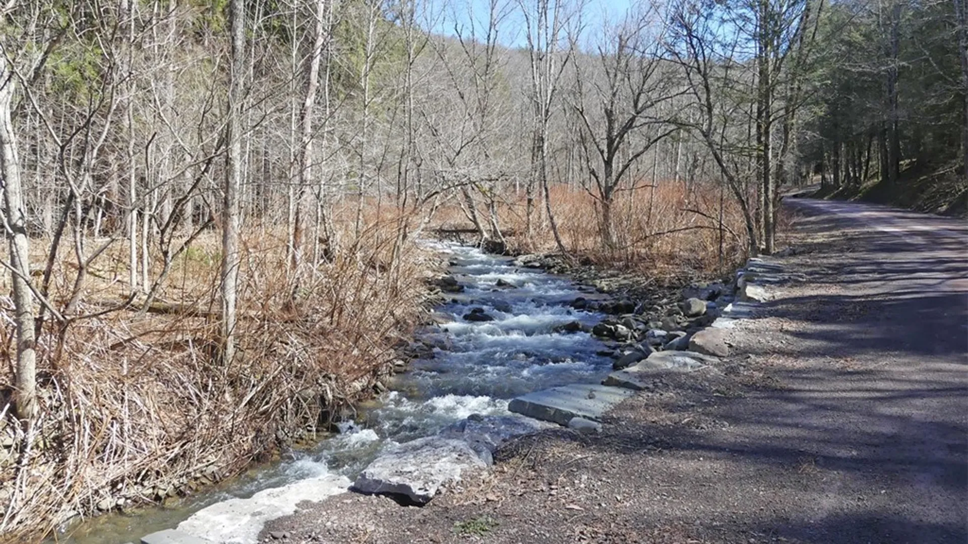 Property at 5565 Beech Hill Road, Andes, NY 13731 15