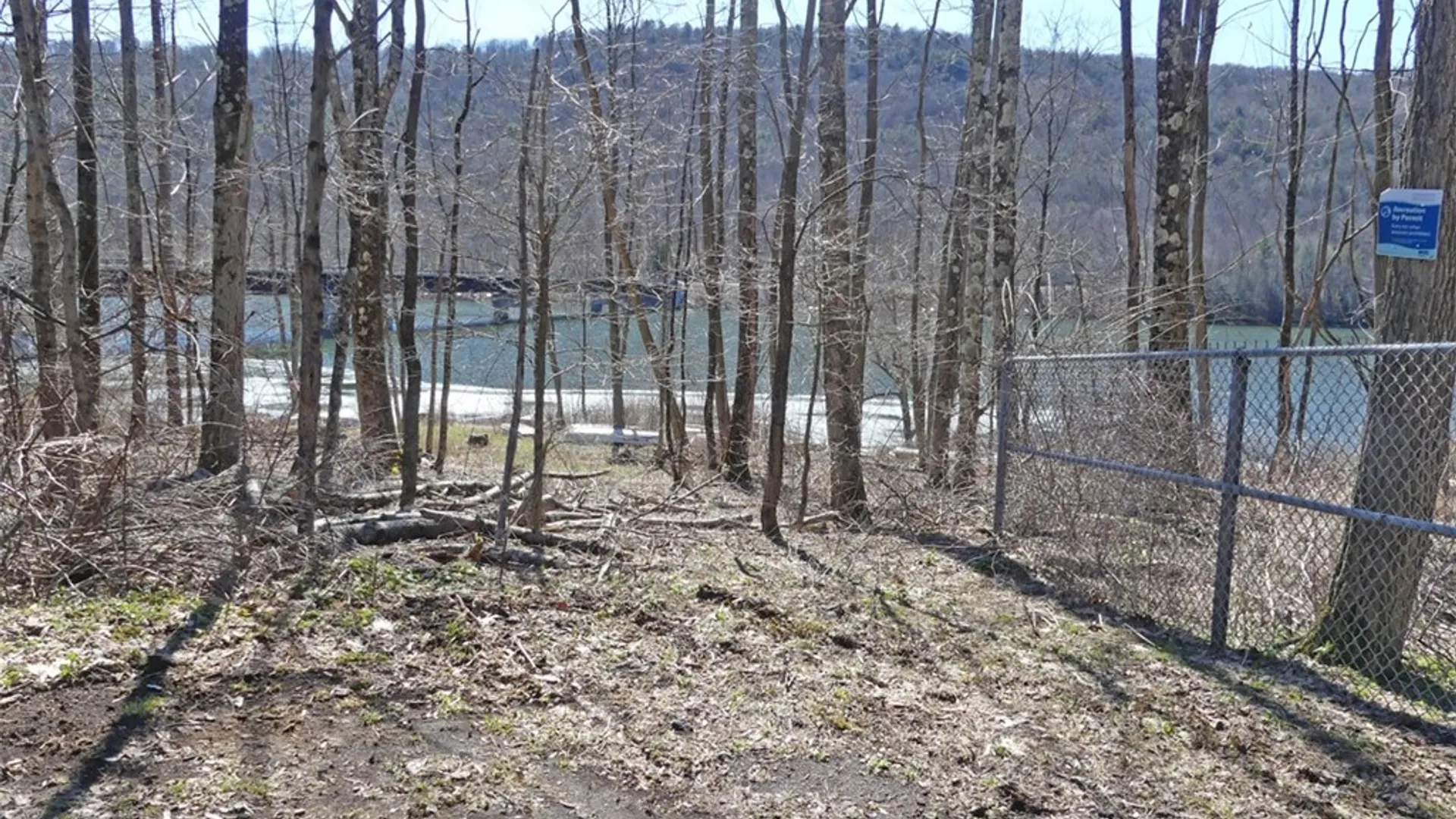 Property at 5565 Beech Hill Road, Andes, NY 13731 20