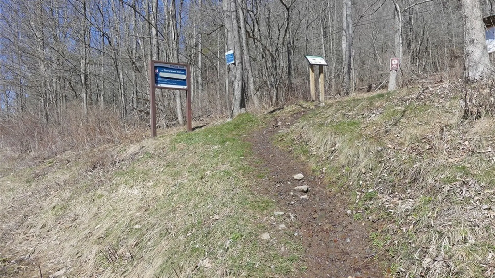 Property at 5565 Beech Hill Road, Andes, NY 13731 21