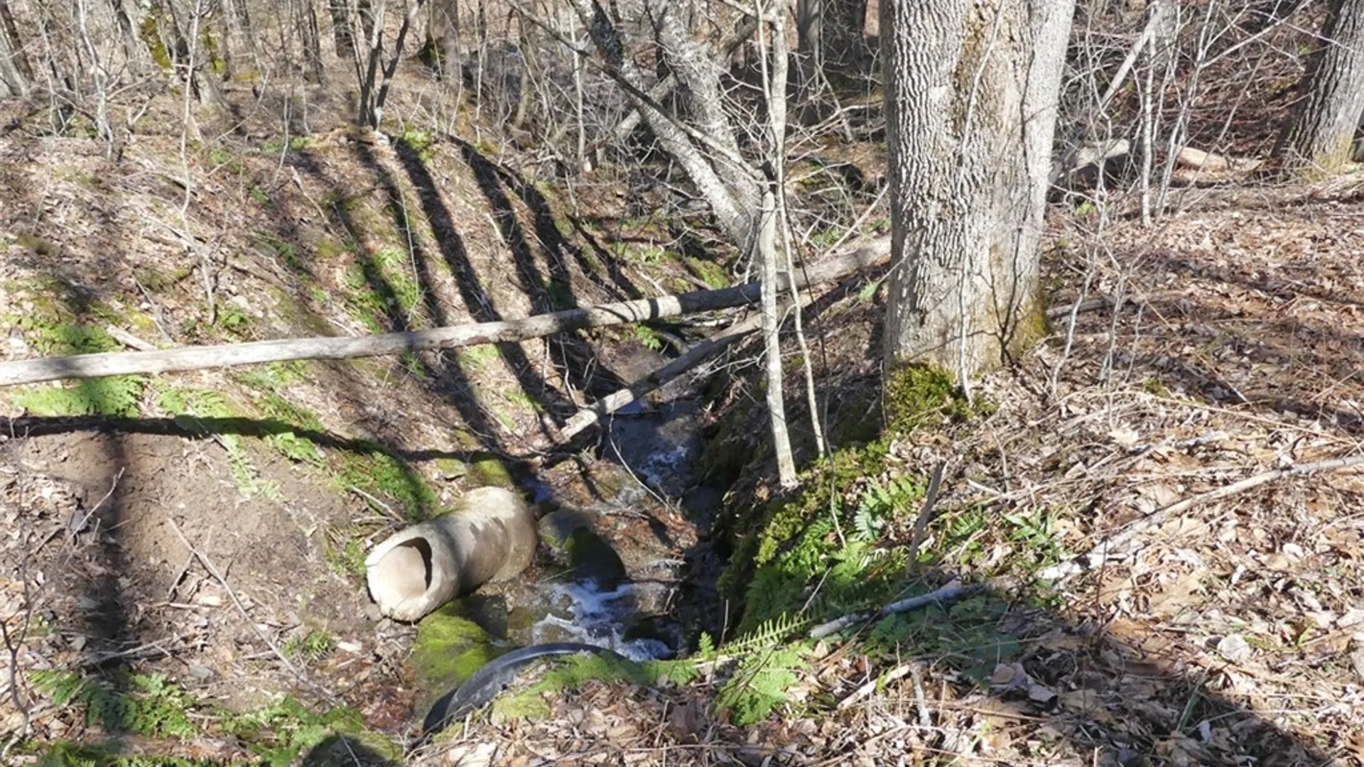 Property at 5565 Beech Hill Road, Andes, NY 13731 3