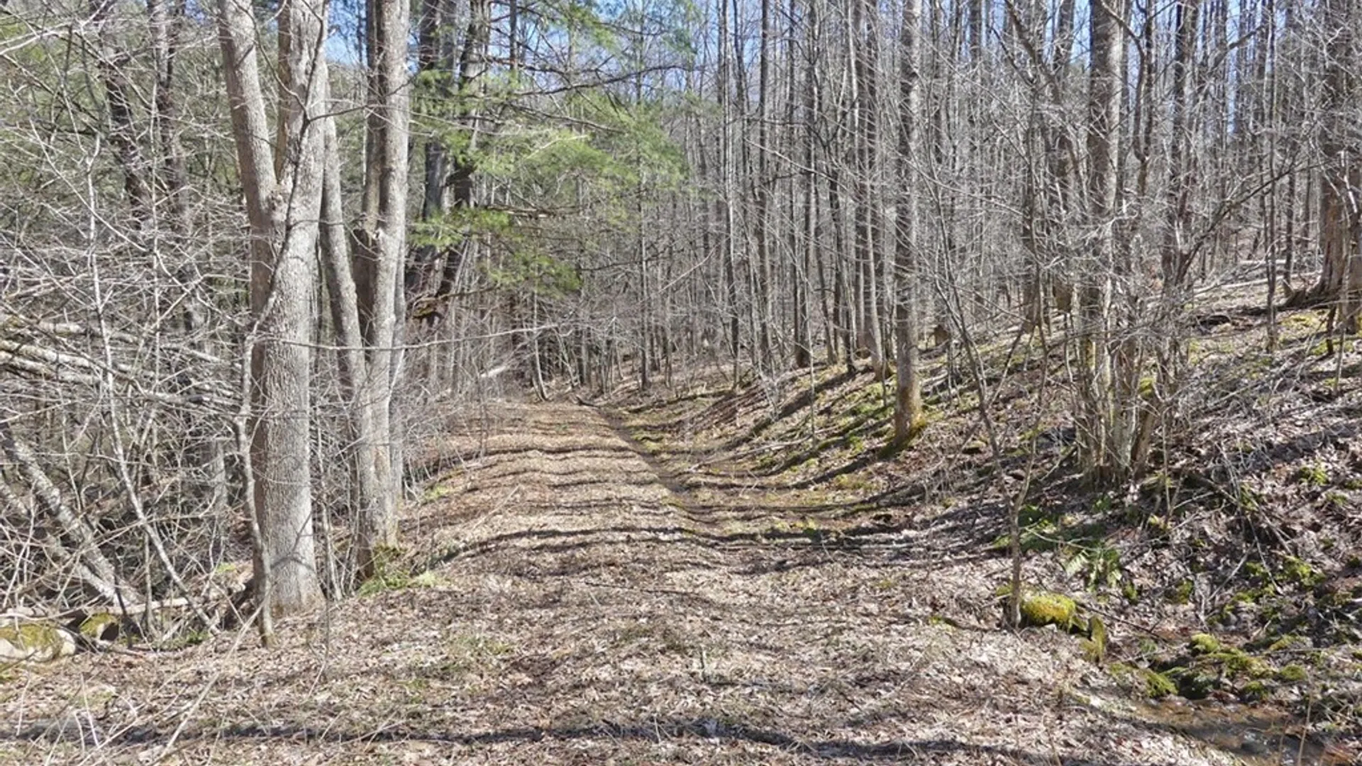 Property at 5565 Beech Hill Road, Andes, NY 13731 4