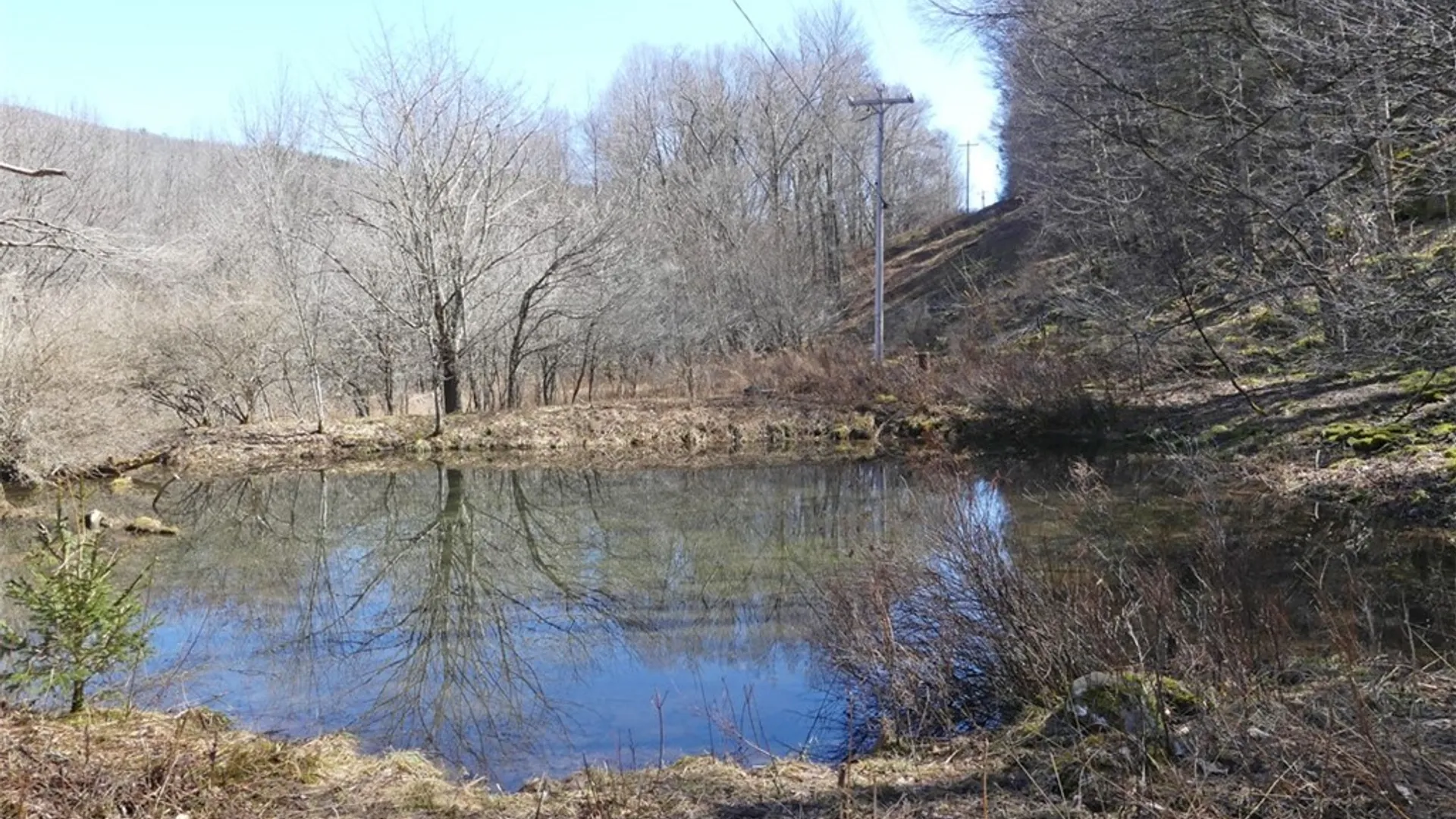 Property at 5565 Beech Hill Road, Andes, NY 13731 8