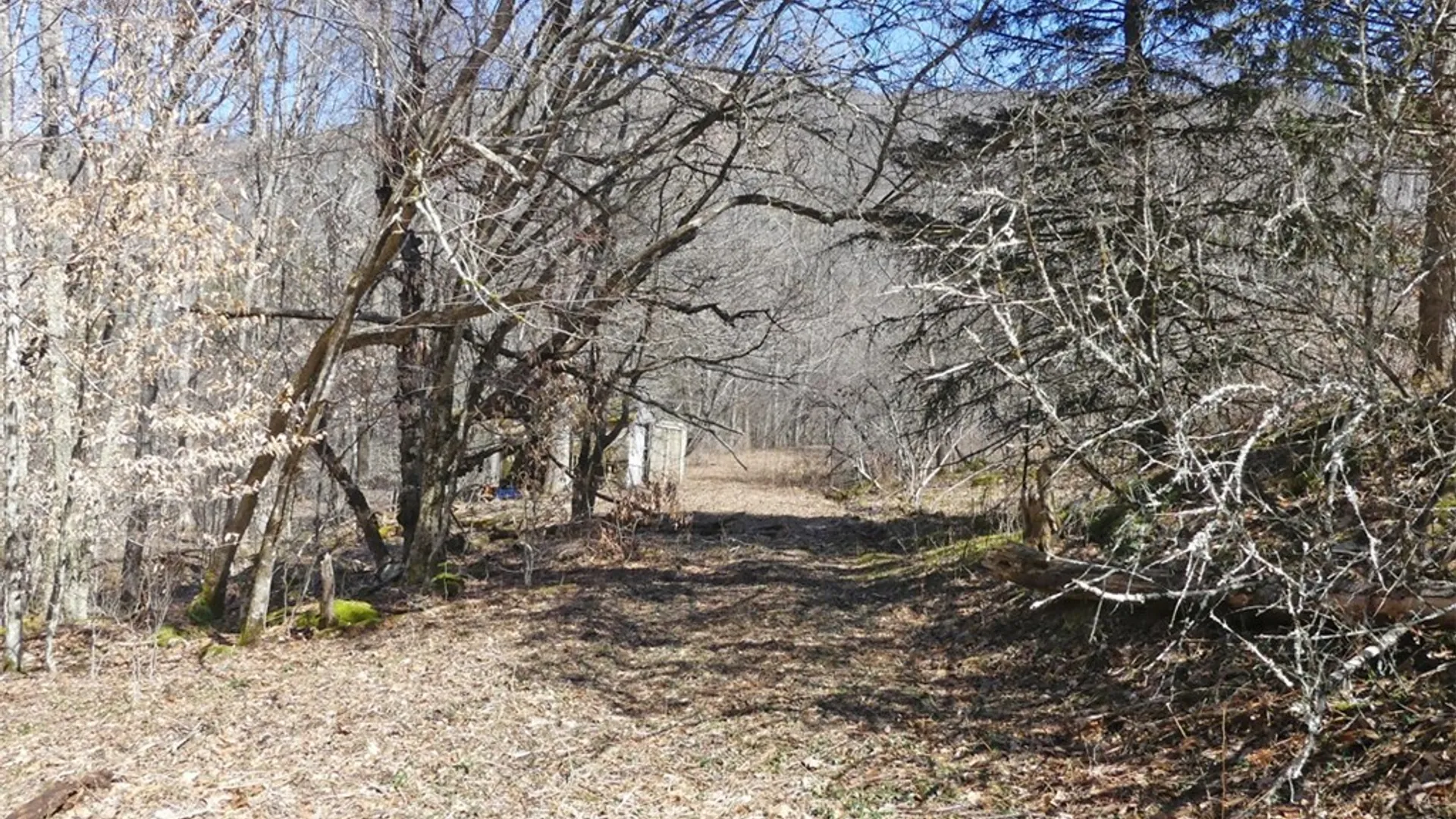 Property at 5565 Beech Hill Road, Andes, NY 13731 9