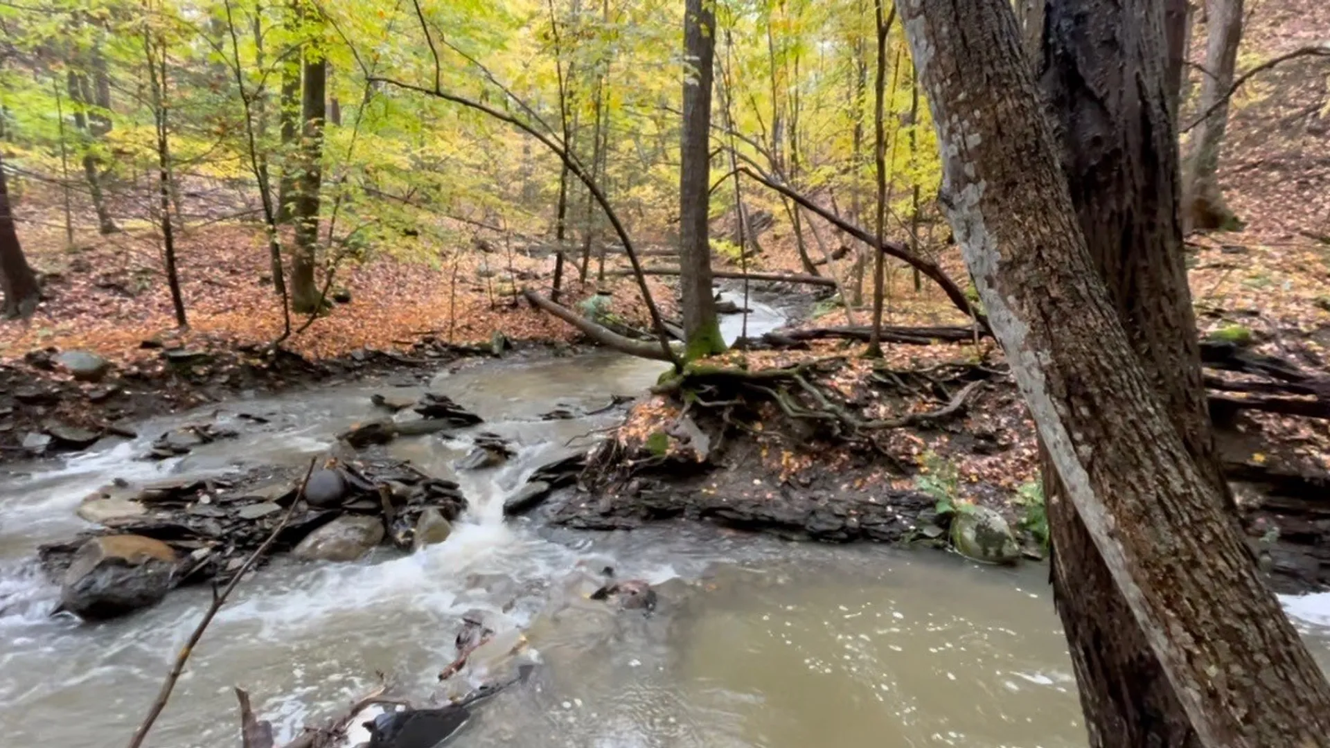 Property at 4765 Seneca Point Road, Canandaigua Town, NY 14424 4