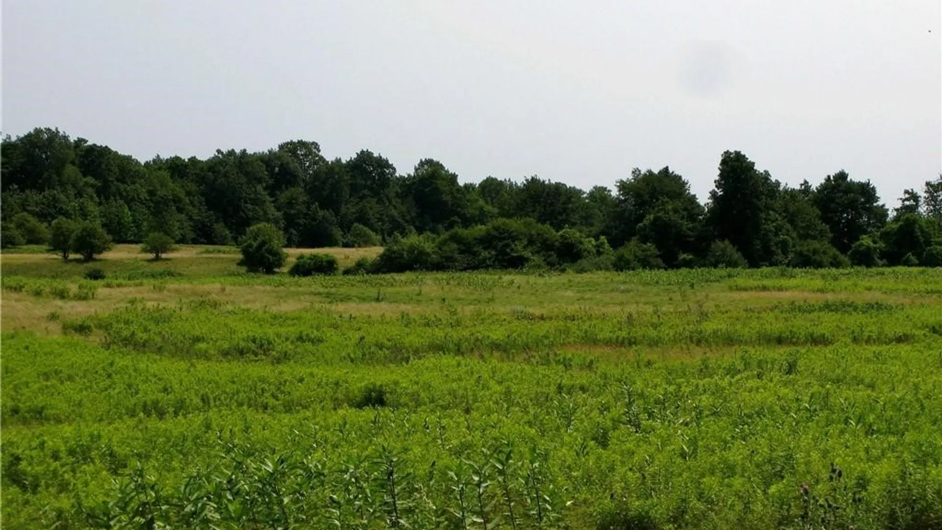 Property at 3939 Carleton Island Road 2, Cape Vincent, NY 13618 2