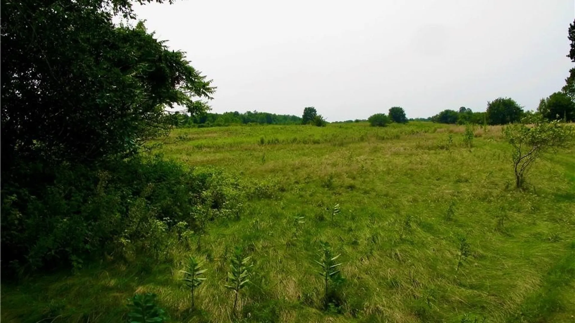 Property at 3939 Carleton Island Road 2, Cape Vincent, NY 13618 4