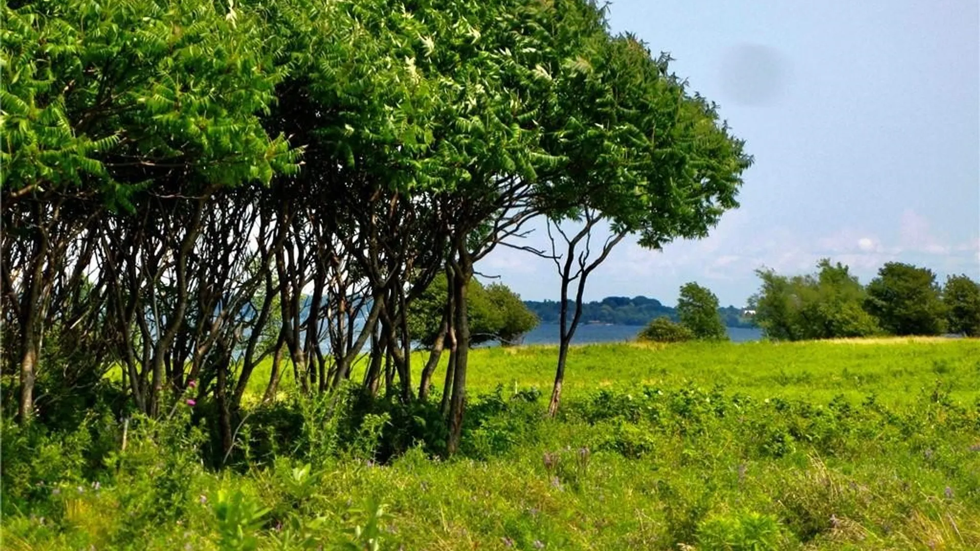 Property at 3939 Carleton Island Road 2, Cape Vincent, NY 13618 5