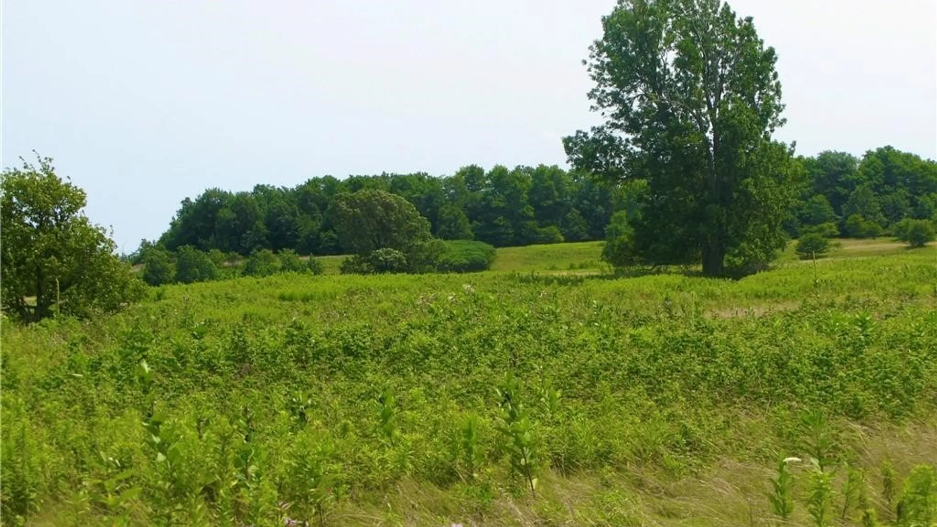 Property at 3939 Carleton Island Road 2, Cape Vincent, NY 13618 6