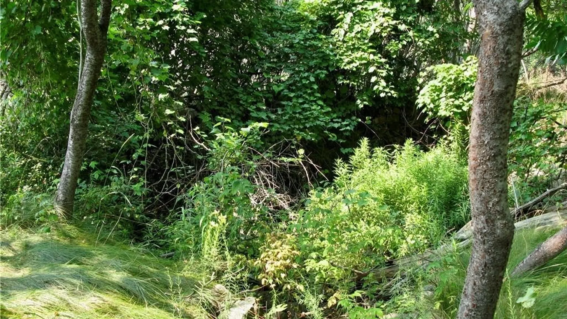 Property at 3939 Carleton Island Road 2, Cape Vincent, NY 13618 7