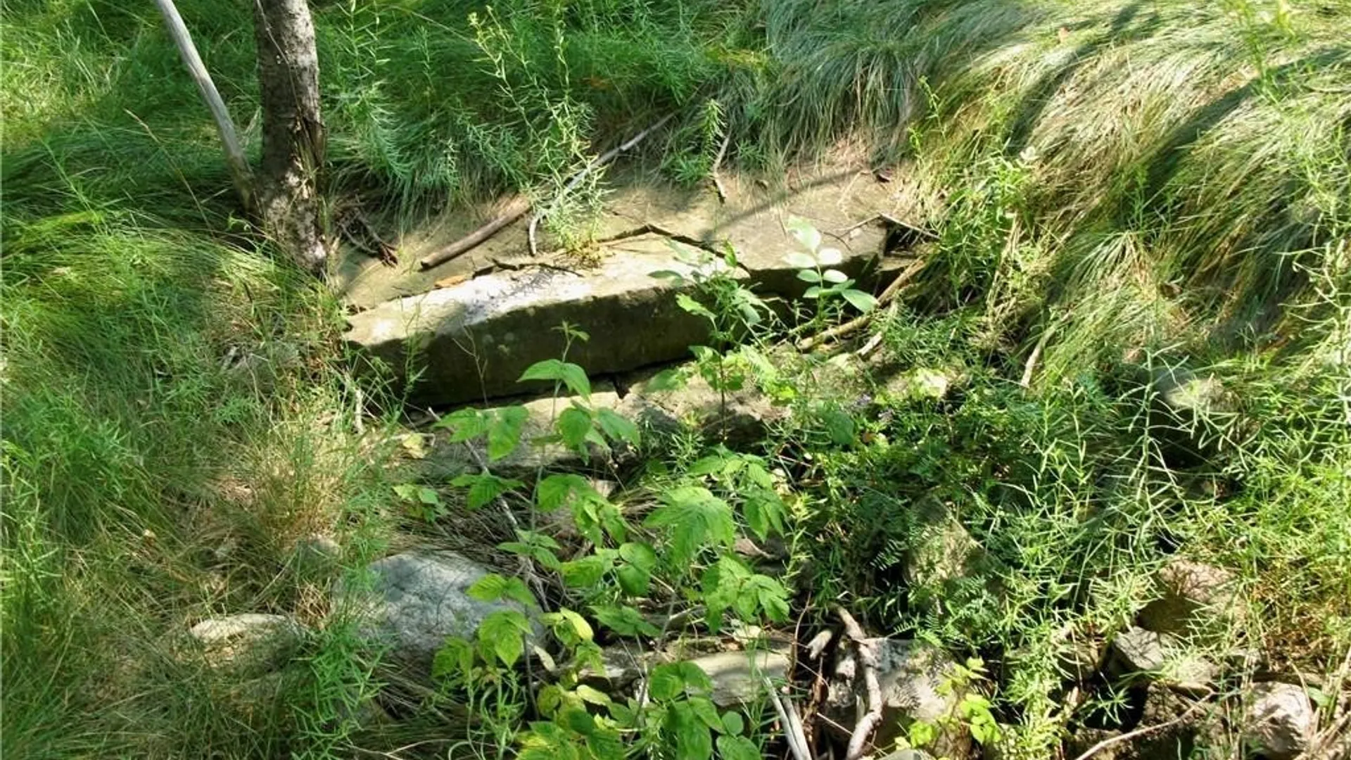 Property at 3939 Carleton Island Road 2, Cape Vincent, NY 13618 8