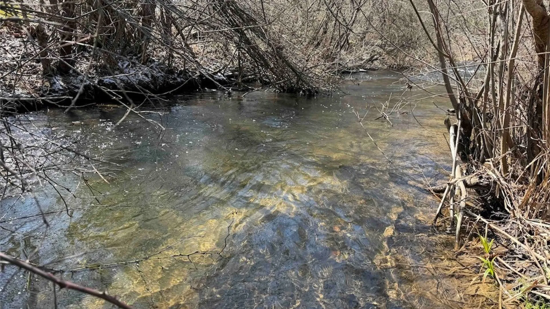 Property at Co Rd 18, Alma, NY 14708 43