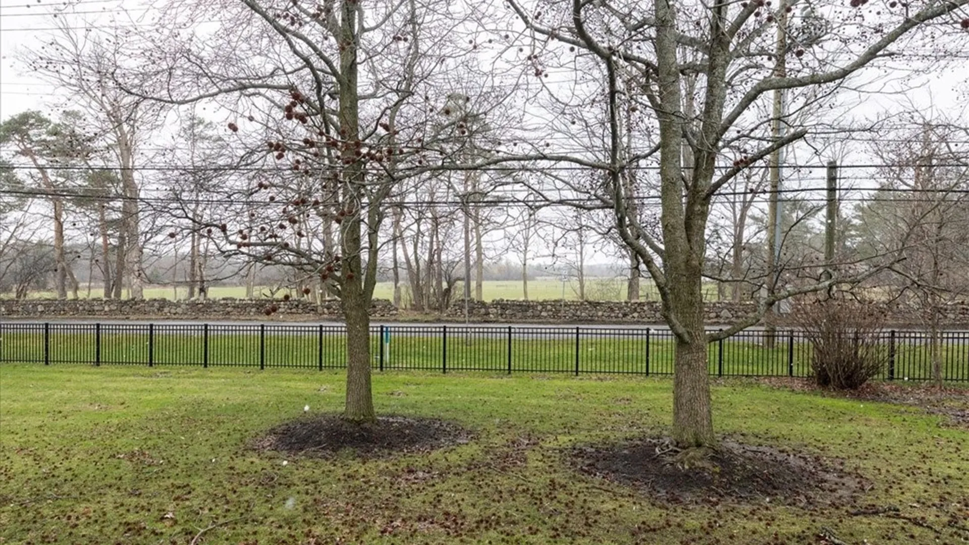 Property at 270 Buffalo Road, Aurora, NY 14052 21