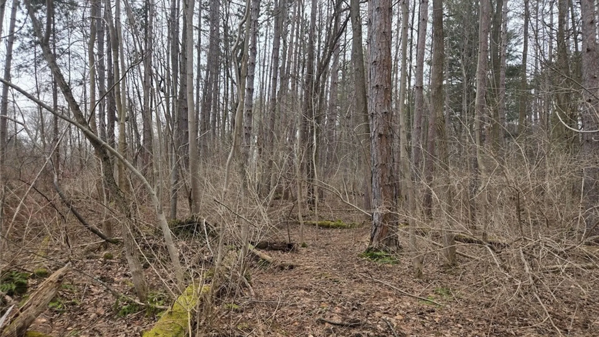 Property at Hardys Road, Gainesville, NY 14066 11