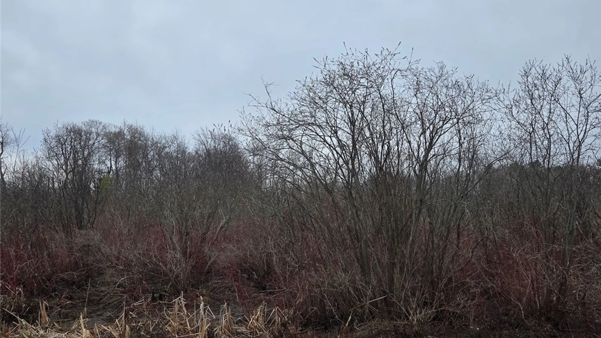 Property at Hardys Road, Gainesville, NY 14066 14