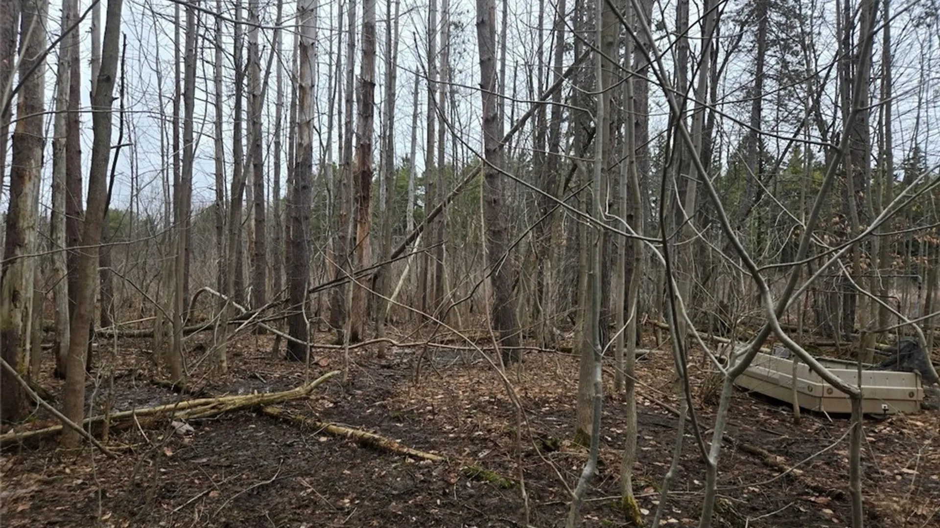 Property at Hardys Road, Gainesville, NY 14066 15