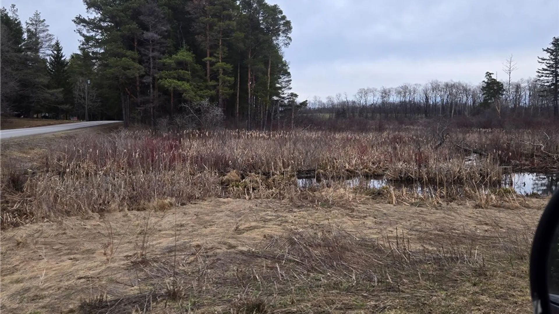 Property at Hardys Road, Gainesville, NY 14066 16